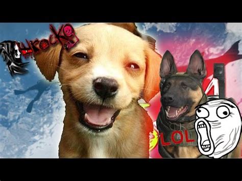 porndog|Dog porn